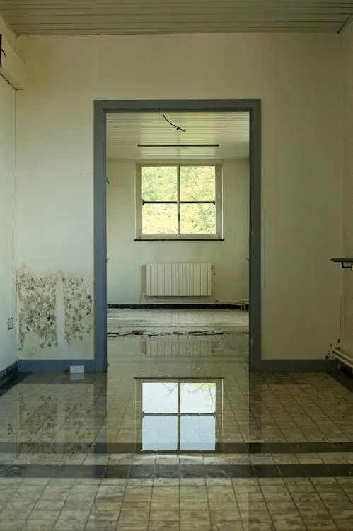 water damage restoration pueblo co — emergency flood cleanup service